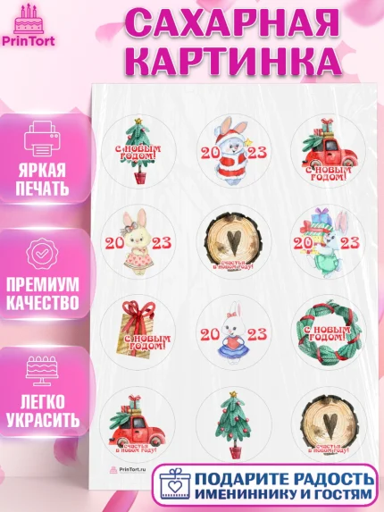 Сахарная картинка, Новый год, Девочка, арт. PT106907