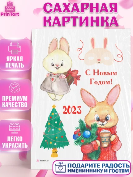 Сахарная картинка, Новый год, Девочка, арт. PT106912