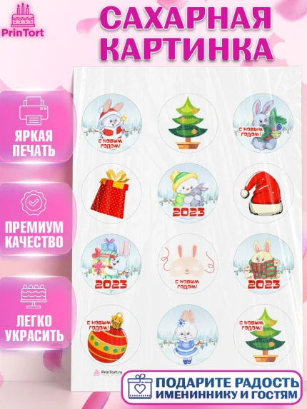Сахарная картинка, Новый год, Девочка, арт. PT106916