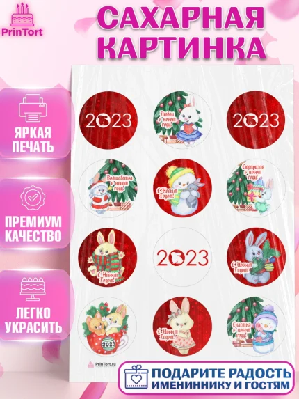 Сахарная картинка, Новый год, Девочка, арт. PT106920