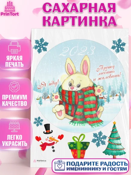 Сахарная картинка, Новый год, Девочка, арт. PT106923