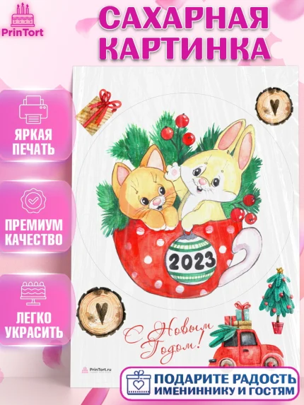 Сахарная картинка, Новый год, Девочка, арт. PT106927
