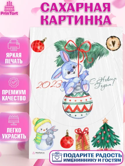 Сахарная картинка, Новый год, Девочка, арт. PT106929
