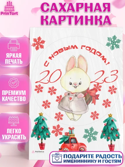 Сахарная картинка, Новый год, Девочка, арт. PT106930