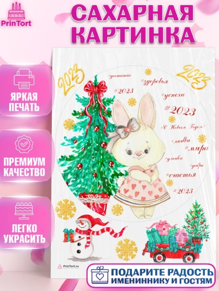 Сахарная картинка, Новый год, Девочка, арт. PT106936