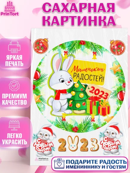 Сахарная картинка, Новый год, Девочка, арт. PT107028