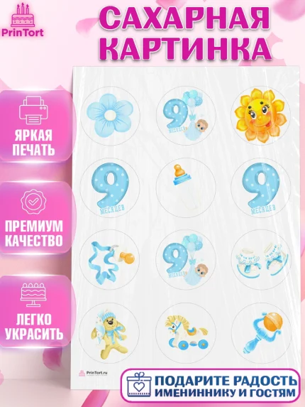 Сахарная картинка, Мальчику 9 месяцев, Мальчик, 9 месяцев, День рождения, арт. PT108132
