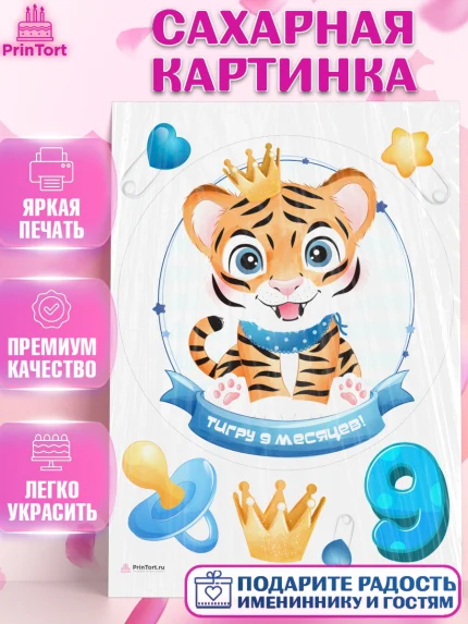 Сахарная картинка, Мальчику 9 месяцев, Мальчик, 9 месяцев, День рождения, арт. PT108134
