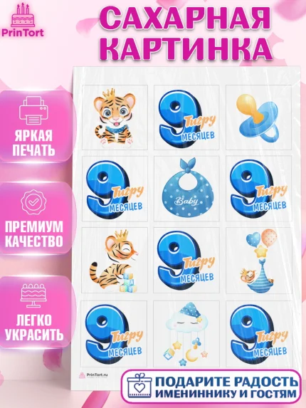 Сахарная картинка, Мальчику 9 месяцев, Мальчик, 9 месяцев, День рождения, арт. PT108143