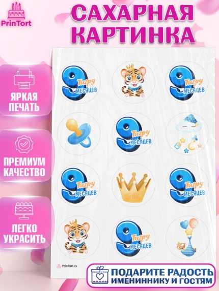 Сахарная картинка, Мальчику 9 месяцев, Мальчик, 9 месяцев, День рождения, арт. PT108144