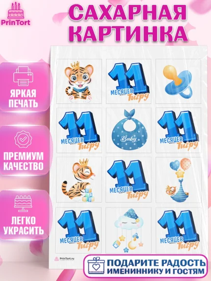 Сахарная картинка, Мальчику 11 мес, Мальчик, 11 месяцев, День рождения, арт. PT108182