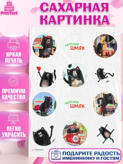 Сахарная картинка, Котёнок Шмяк, Девочка, День рождения, арт. PT108289