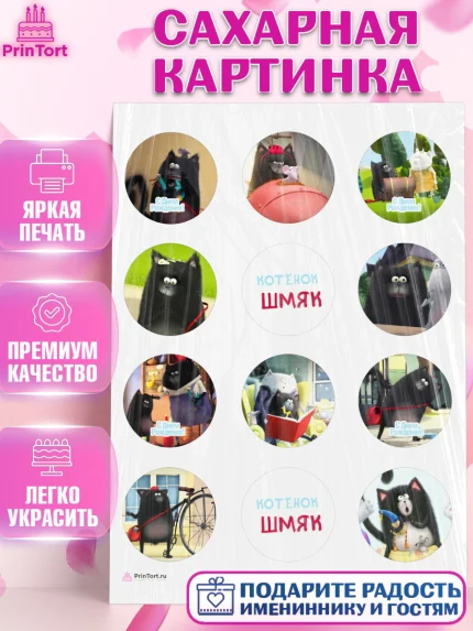 Сахарная картинка, Котёнок Шмяк, Девочка, День рождения, арт. PT108298