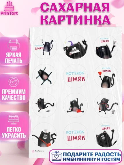 Сахарная картинка, Котёнок Шмяк, Девочка, День рождения, арт. PT108300