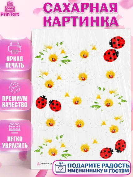 Сахарная картинка, Цветы, Ромашки, Девочка, День рождения, арт. PT108565