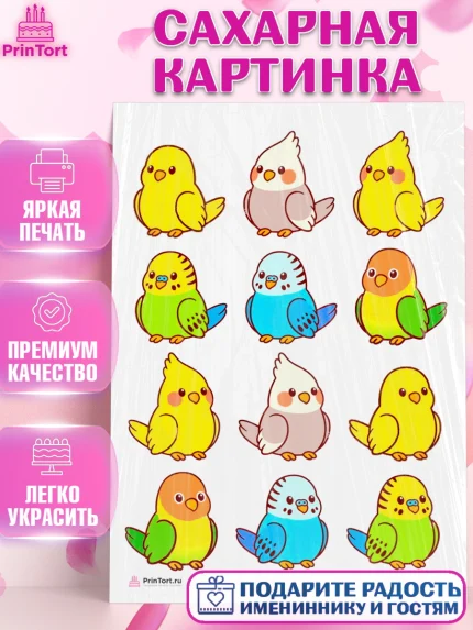Сахарная картинка, Птички, Попугаи, Девочка, День рождения, арт. PT108571