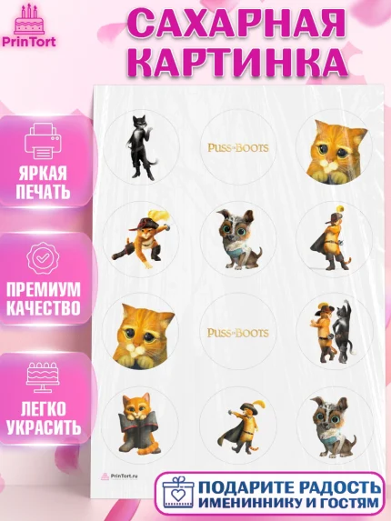 Сахарная картинка, Кот в сапогах, Девочка, День рождения, арт. PT108960