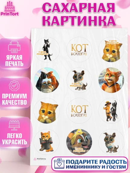 Сахарная картинка, Кот в сапогах, Девочка, День рождения, арт. PT108966