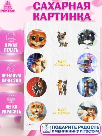 Сахарная картинка, Кот в сапогах, Девочка, День рождения, арт. PT108972