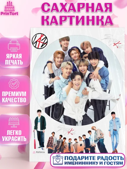 Сахарная картинка, Стрей Кидс, Stray Kids, Девочка, День рождения, арт. PT109180