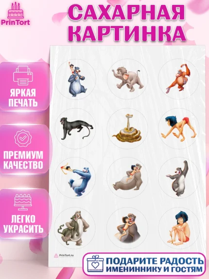 Сахарная картинка, Маугли, Девочка, День рождения, арт. PT109329