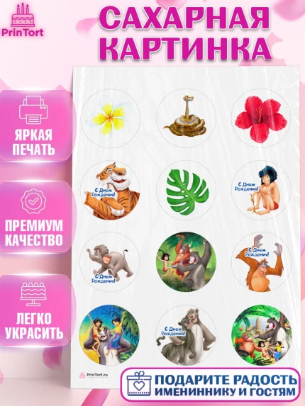 Сахарная картинка, Маугли, Девочка, День рождения, арт. PT109332