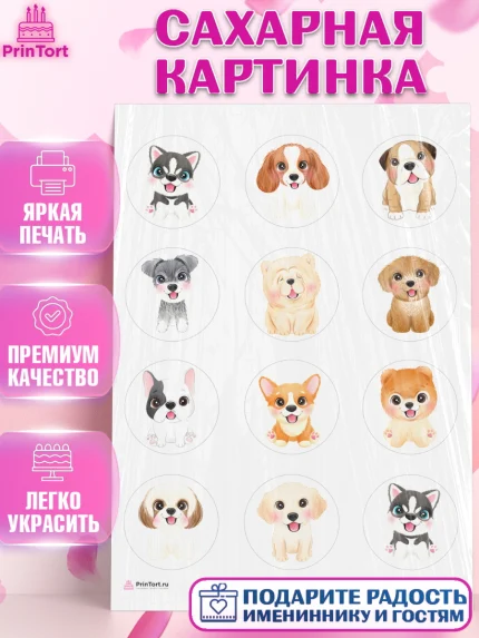 Сахарная картинка, Собаки, Питомец, Девочка, День рождения, арт. PT109405
