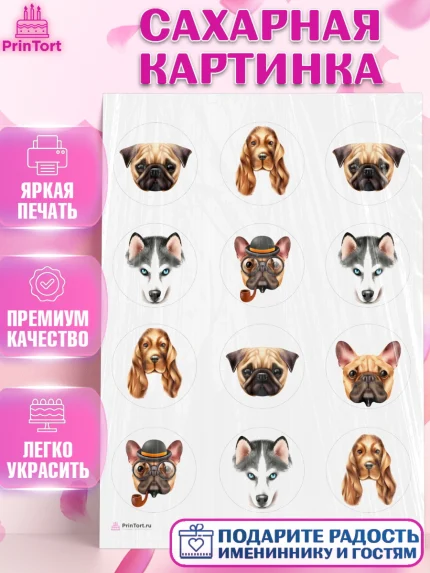 Сахарная картинка, Собаки, Питомец, Девочка, День рождения, арт. PT109412