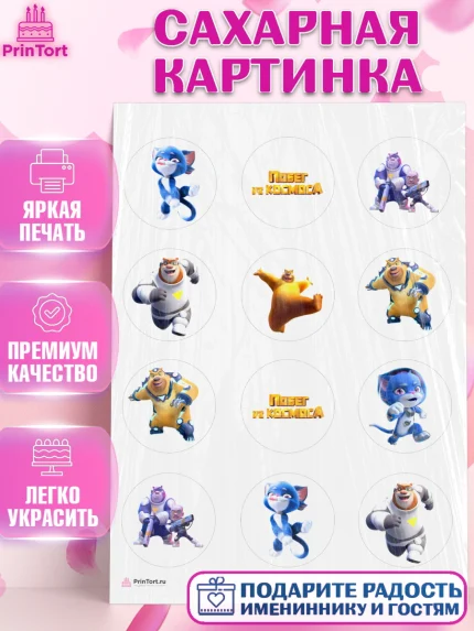 Сахарная картинка, Побег из космоса, Девочка, День рождения, арт. PT109539