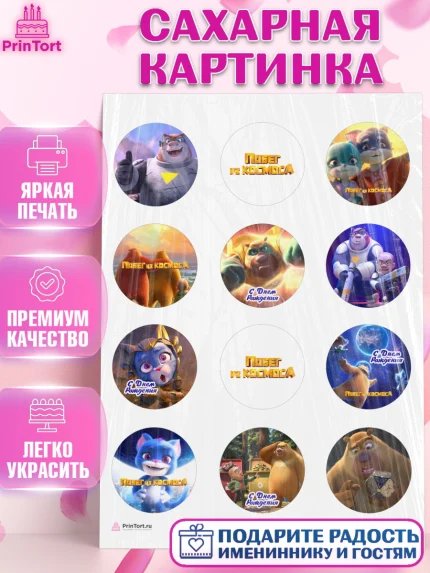 Сахарная картинка, Побег из космоса, Девочка, День рождения, арт. PT109547