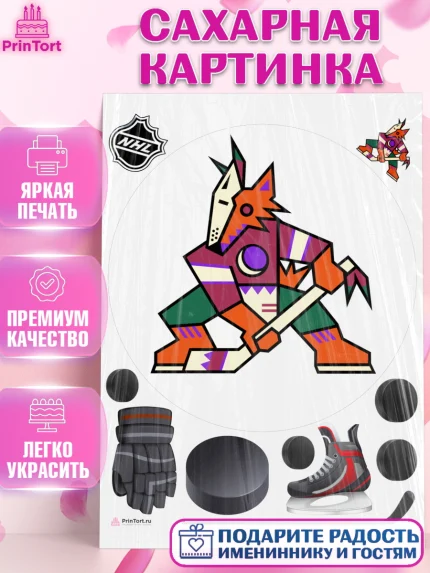 Сахарная картинка, НХЛ, Хоккей, Мальчик, День рождения, арт. PT110110
