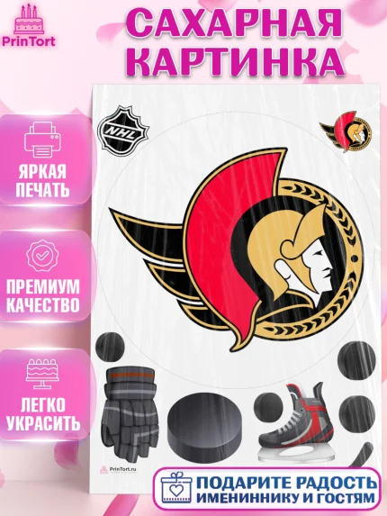 Сахарная картинка, НХЛ, Хоккей, Мальчик, День рождения, арт. PT110125
