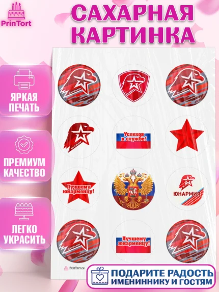 Сахарная картинка, Юнармия, Девочка, День рождения, арт. PT110315