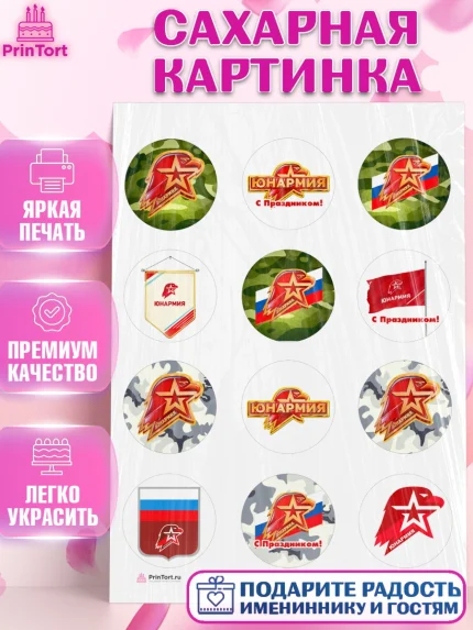 Сахарная картинка, Юнармия, Девочка, День рождения, арт. PT110319