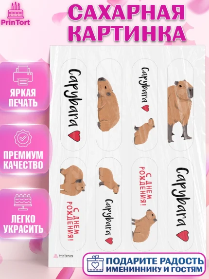 Сахарная картинка, Капибара, Девочка, День рождения, арт. PT111024