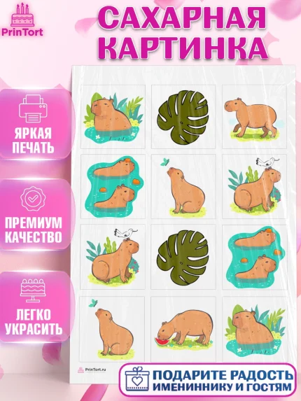 Сахарная картинка, Капибара, Девочка, День рождения, арт. PT111025
