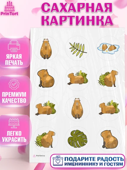 Сахарная картинка, Капибара, Девочка, День рождения, арт. PT111026