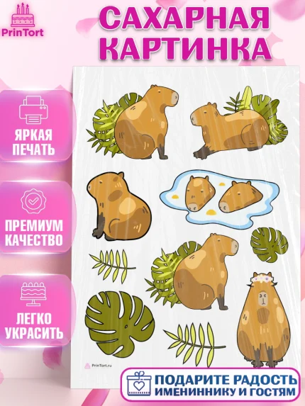 Сахарная картинка, Капибара, Девочка, День рождения, арт. PT111027