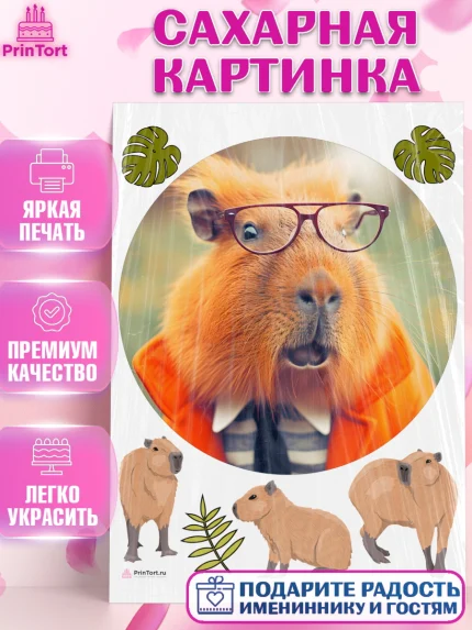 Сахарная картинка, Капибара, Девочка, День рождения, арт. PT111028