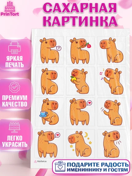 Сахарная картинка, Капибара, Девочка, День рождения, арт. PT111029