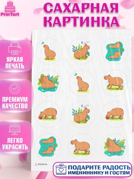 Сахарная картинка, Капибара, Девочка, День рождения, арт. PT111030