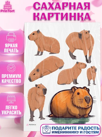 Сахарная картинка, Капибара, Девочка, День рождения, арт. PT111031