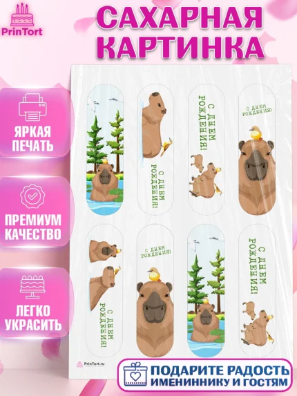 Сахарная картинка, Капибара, Девочка, День рождения, арт. PT111033