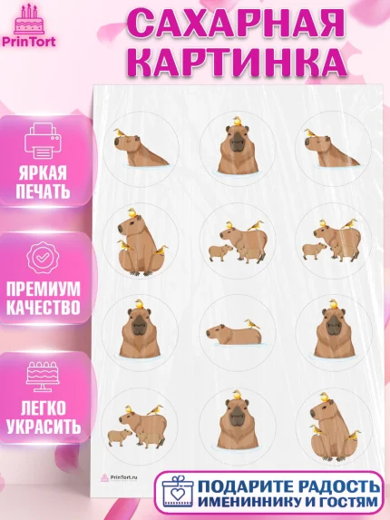 Сахарная картинка, Капибара, Девочка, День рождения, арт. PT111034