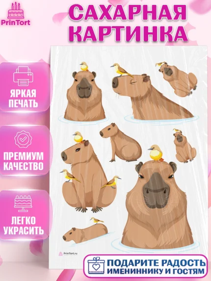 Сахарная картинка, Капибара, Девочка, День рождения, арт. PT111035
