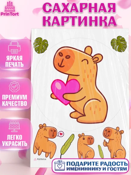Сахарная картинка, Капибара, Девочка, День рождения, арт. PT111036