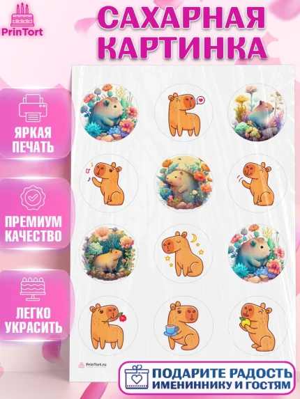 Сахарная картинка, Капибара, Девочка, День рождения, арт. PT111037