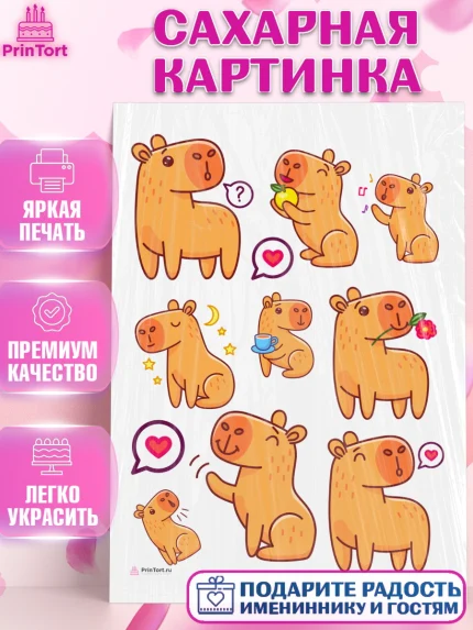 Сахарная картинка, Капибара, Девочка, День рождения, арт. PT111038