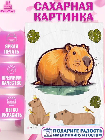 Сахарная картинка, Капибара, Девочка, День рождения, арт. PT111039