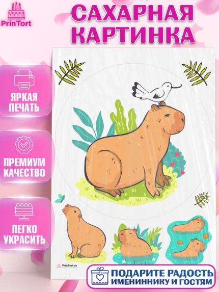 Сахарная картинка, Капибара, Девочка, День рождения, арт. PT111041
